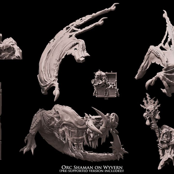 Chaman orque sur vouivre